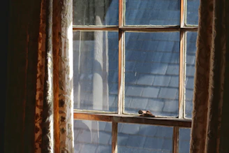 A cozy nook bathed in sunlight through a wide sliding window with wooden trim.