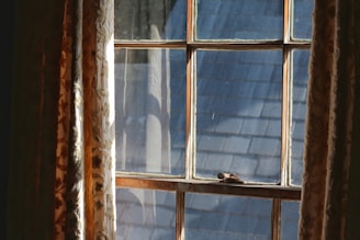 Bright kitchen windows dressed with colorful patterned blinds adding a cheerful vibe