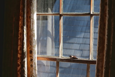 Sunlight filtering softly through a hexagon-patterned window in a cozy bee-inspired cabin.