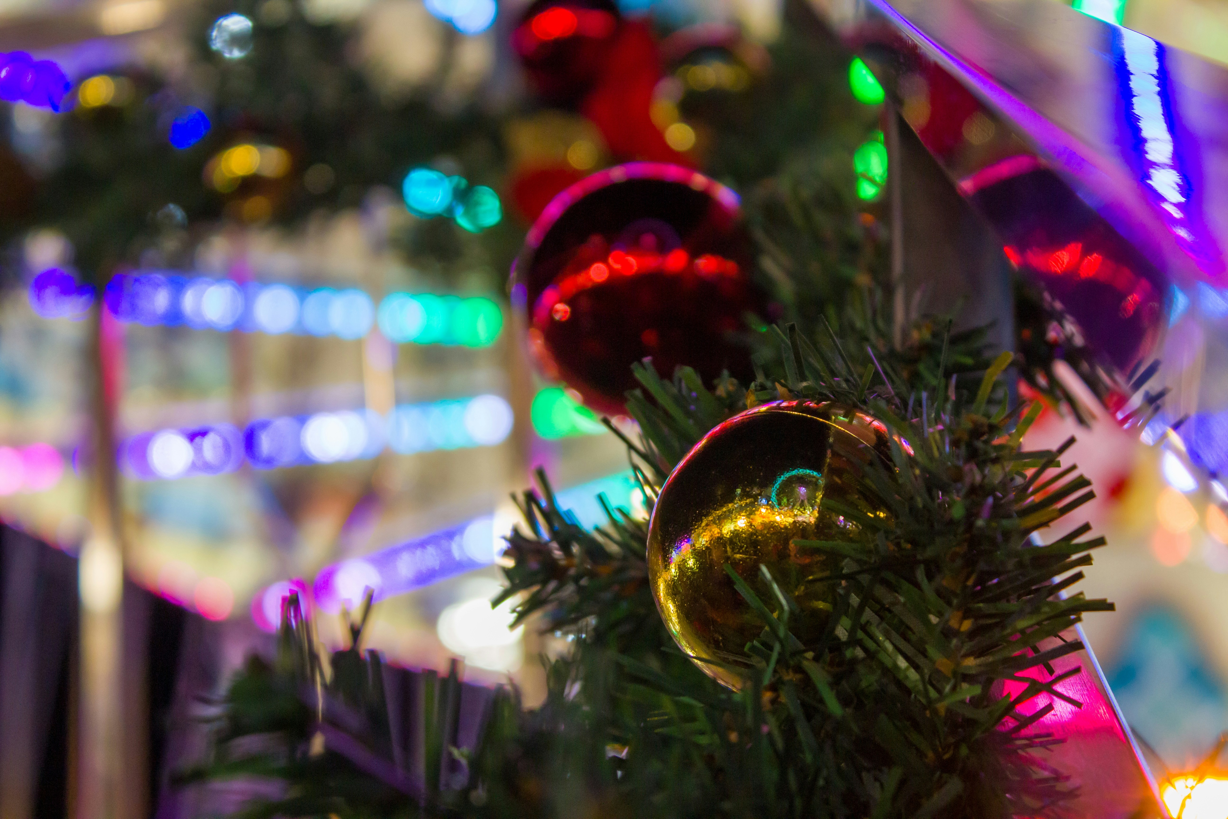 Photo by levi_midnight