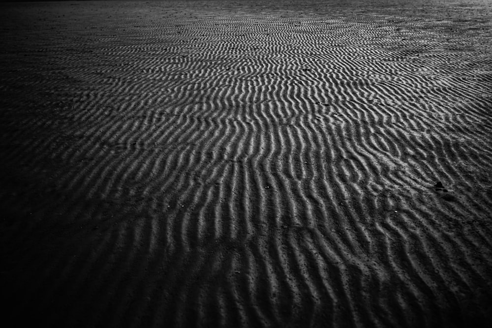 a black and white photo of a beach