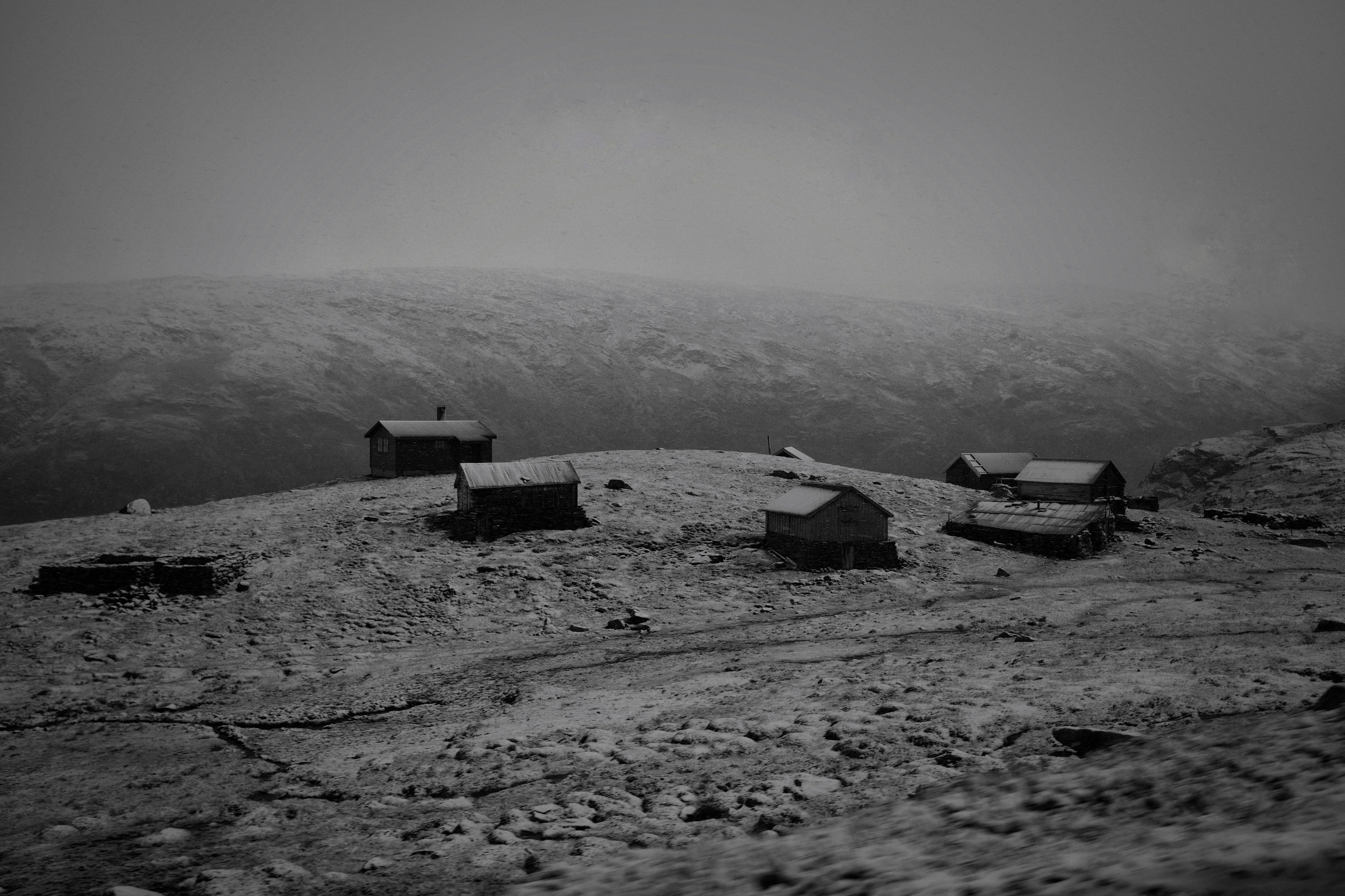 Photo by tomasrobertson