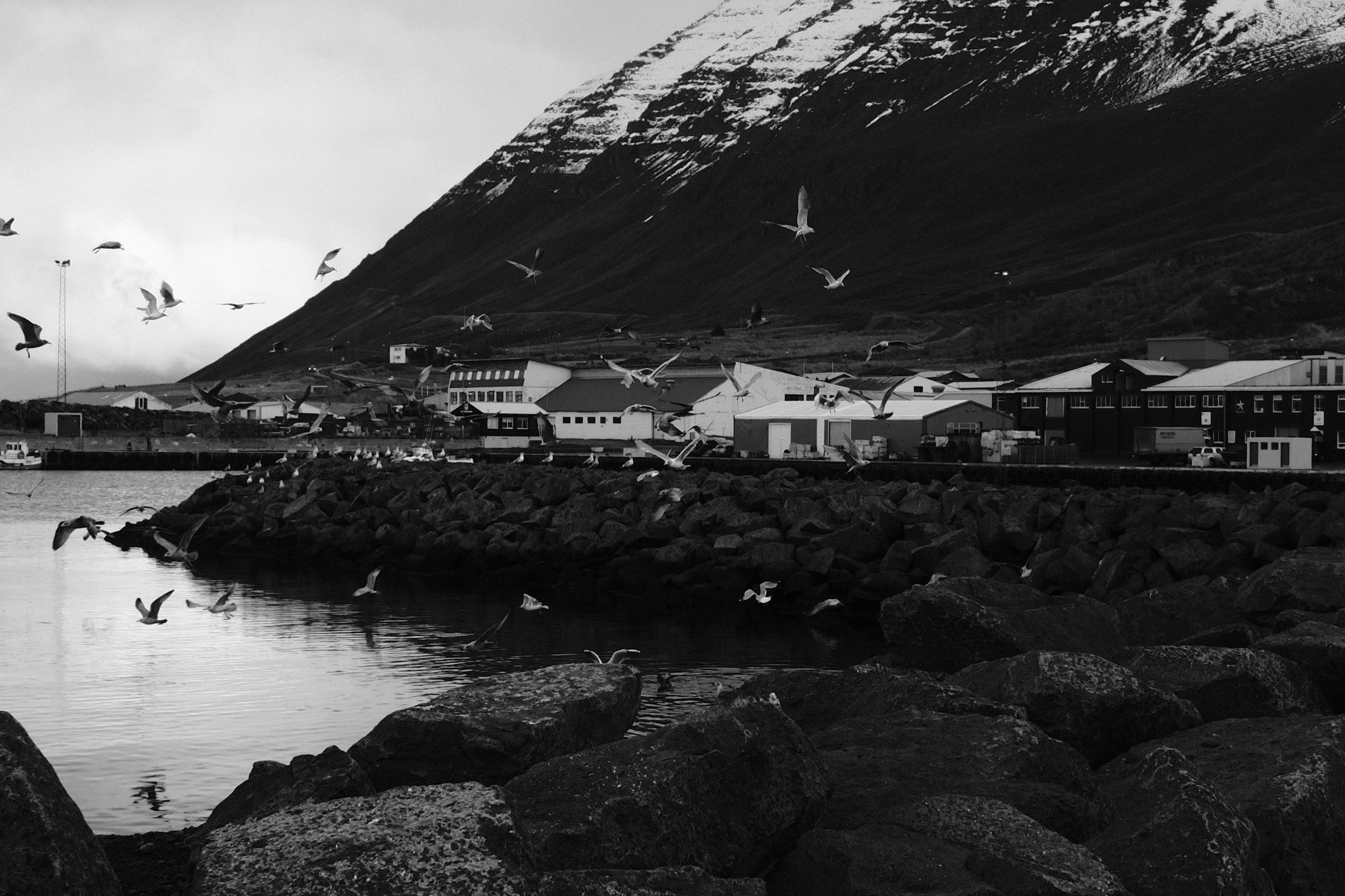 Photo by tomasrobertson