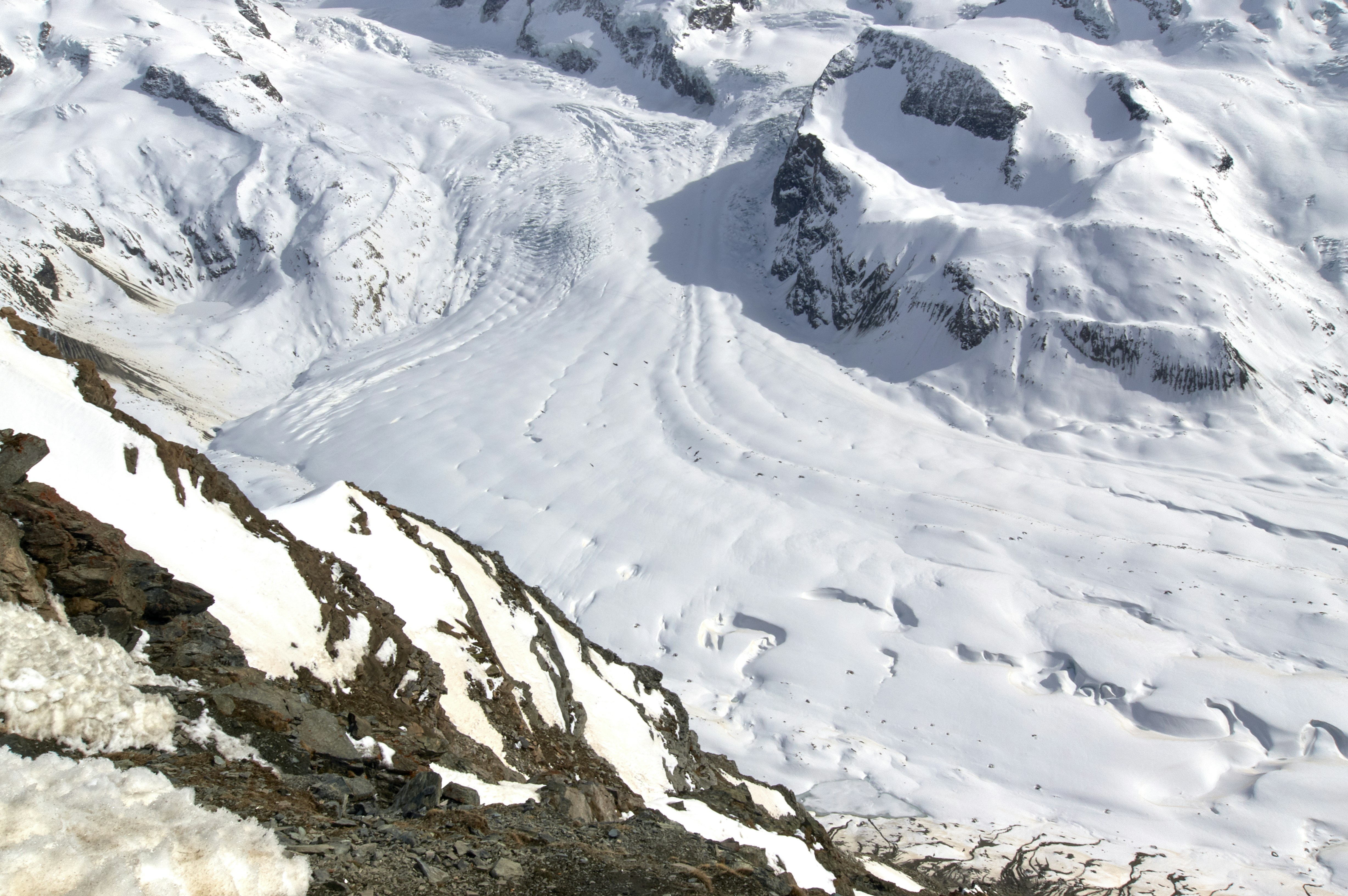 Photo by wolfgang_hasselmann