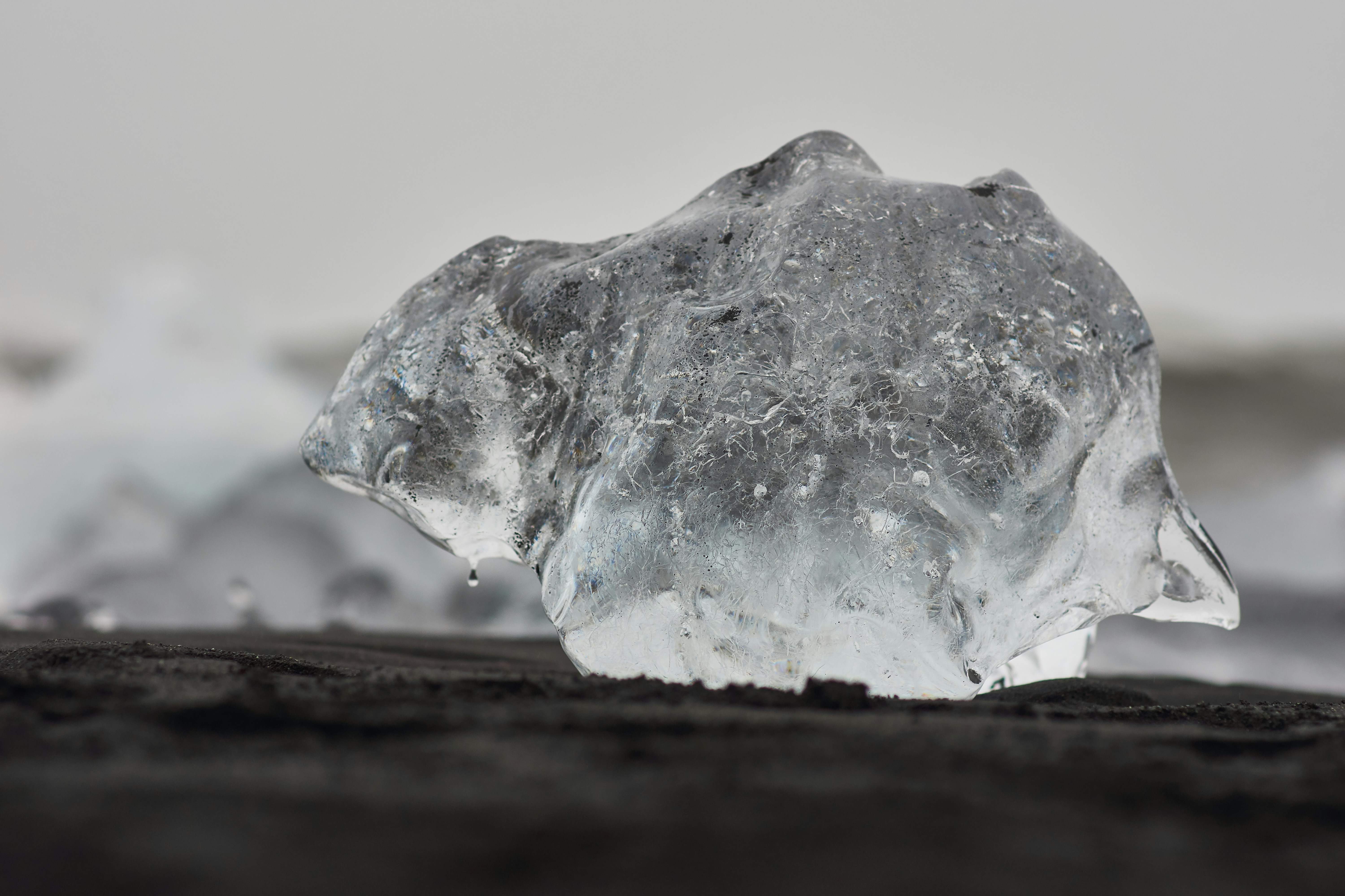 Photo by wolfgang_hasselmann