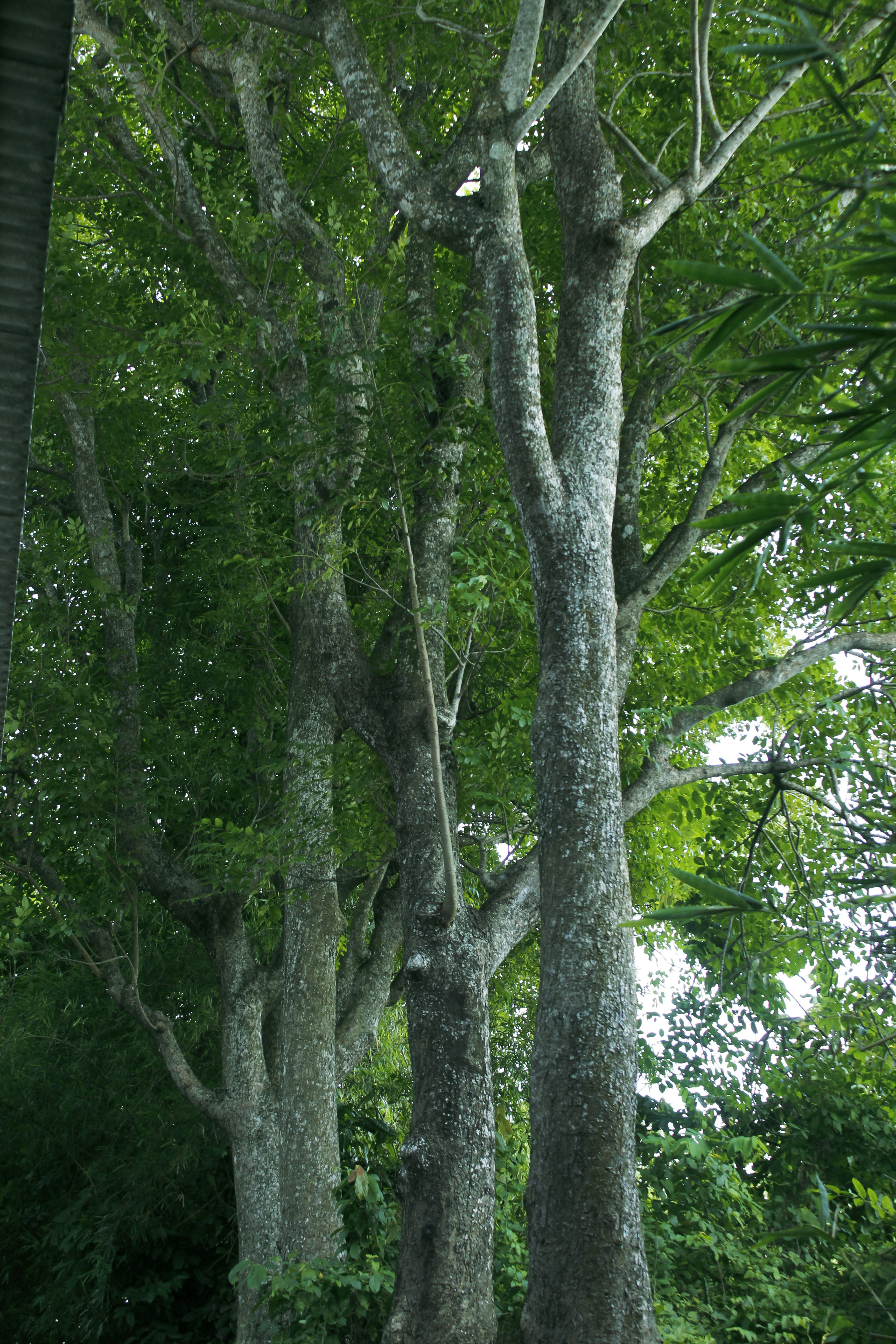 Photo by mametelfatih