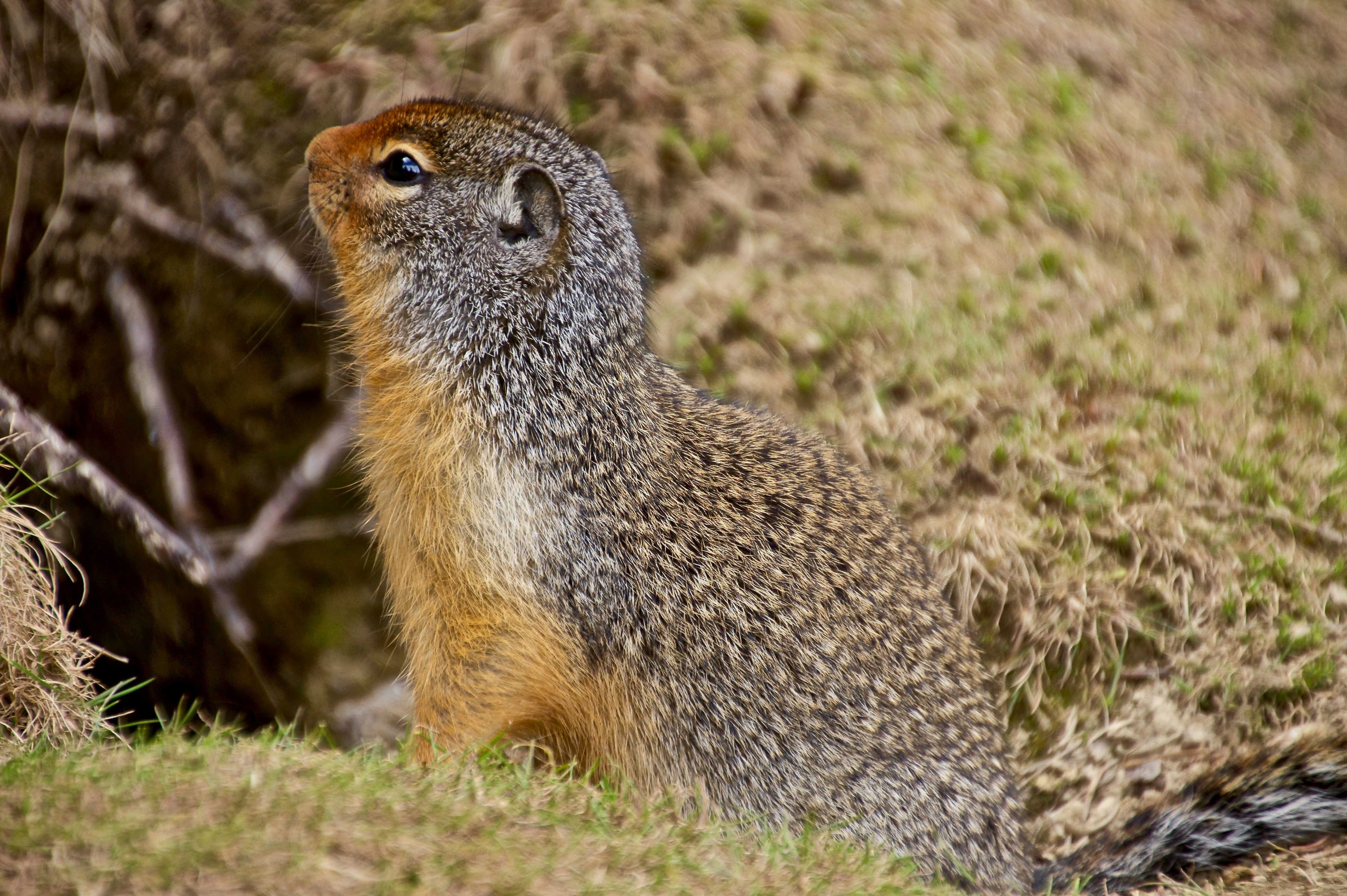 Photo by heracles1903