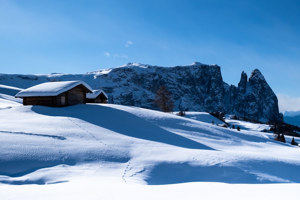 mountain covered with snow