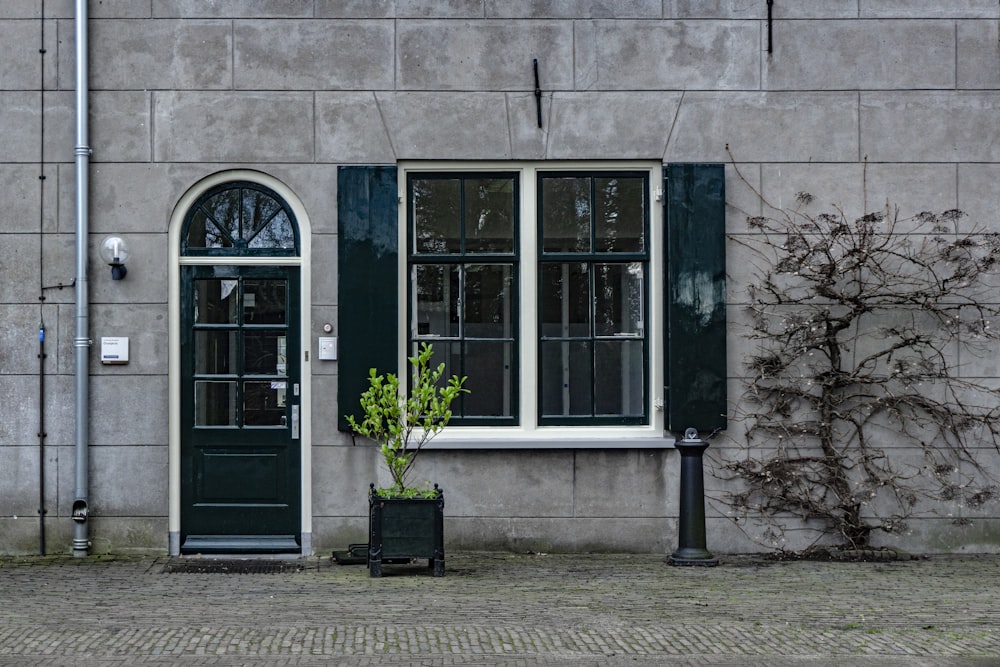 Gebäude mit Pflanze im Topf neben Fenster und geschlossener Tür