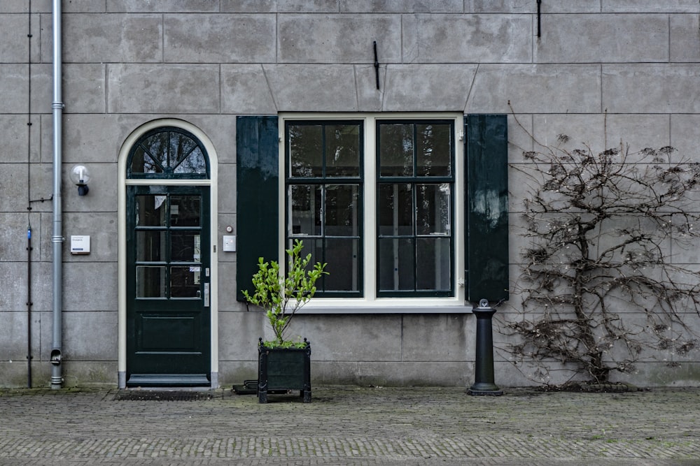 building with plant in pot beside window and closed door