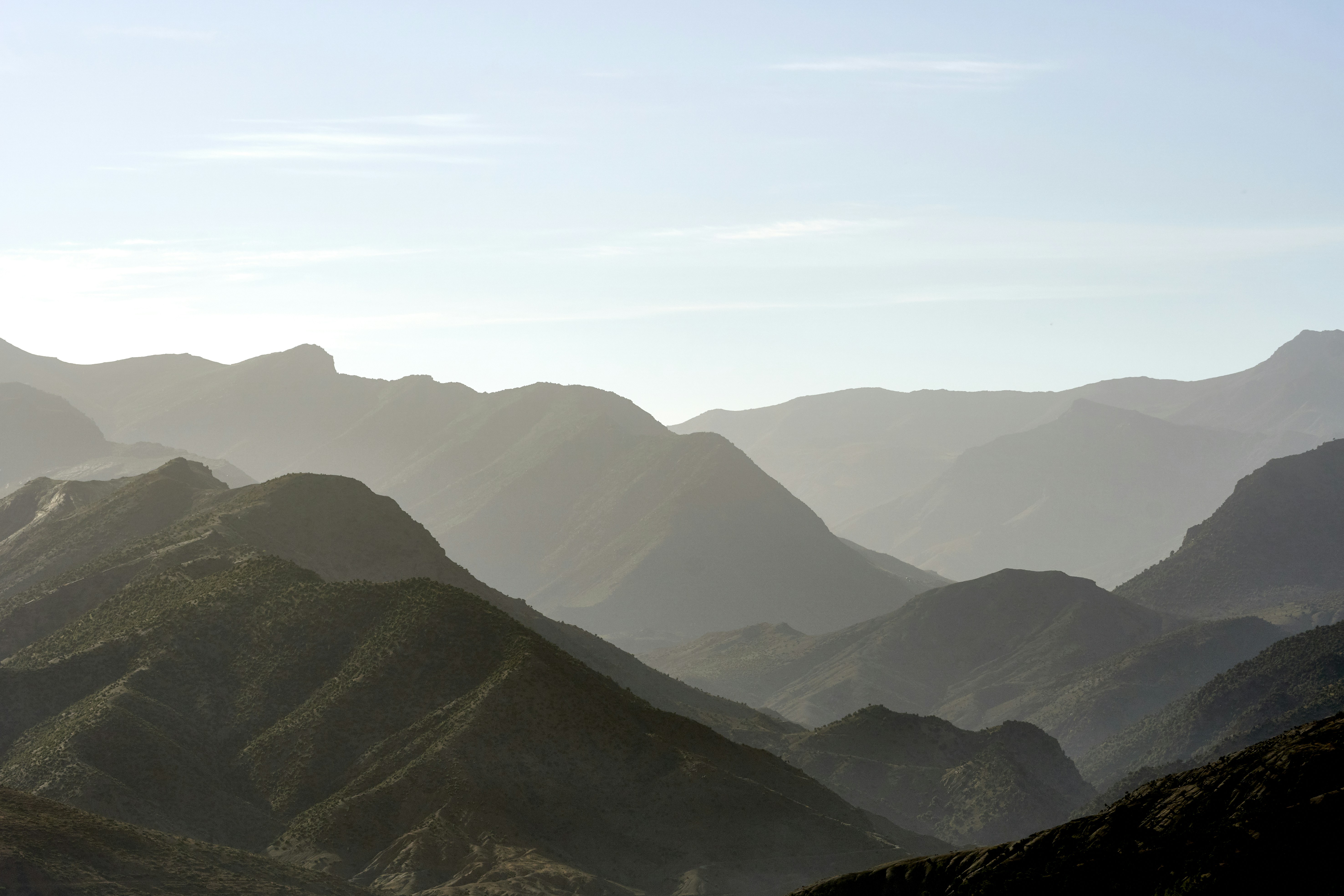 Photo by wolfgang_hasselmann