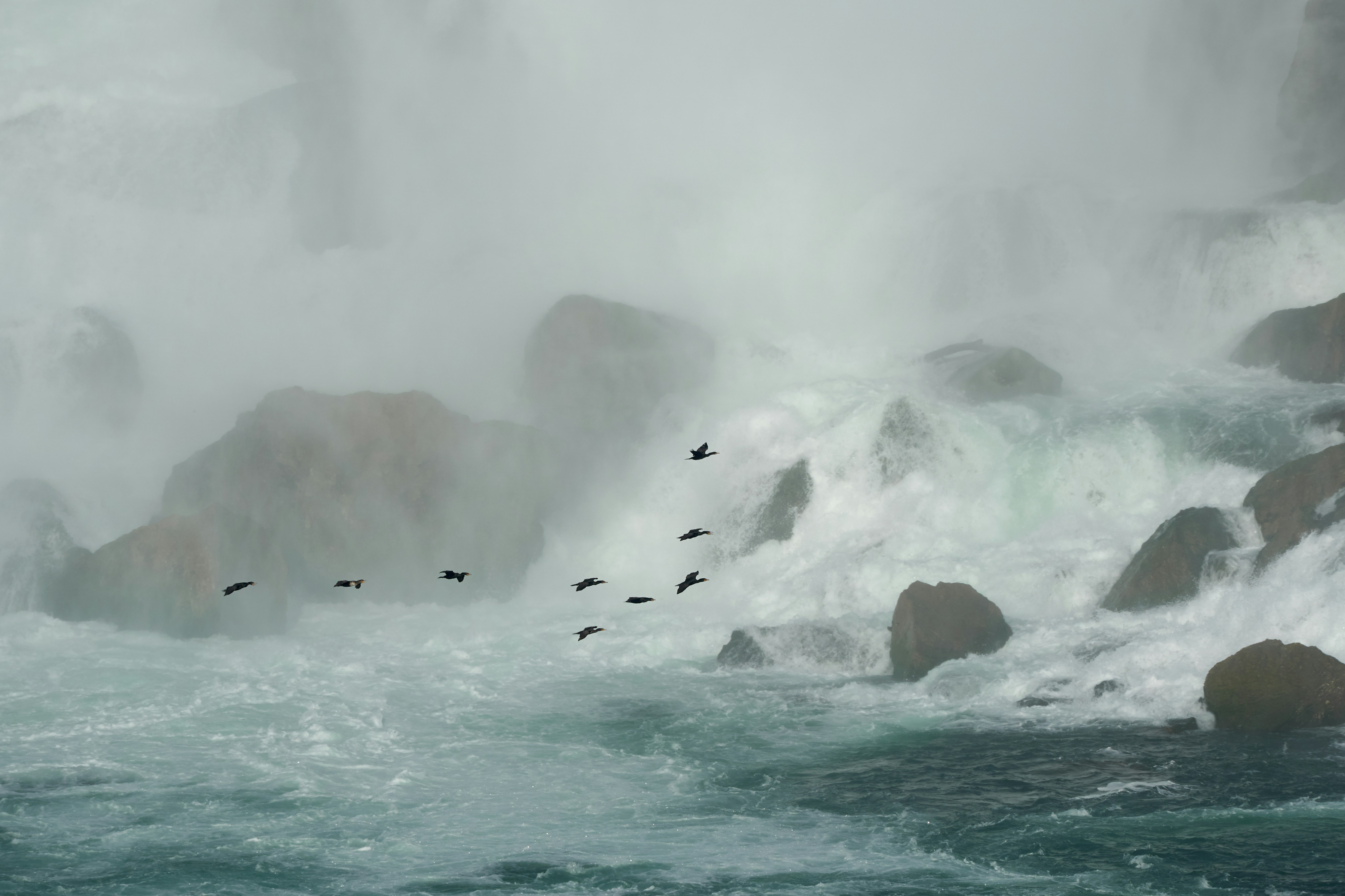 Photo by wolfgang_hasselmann