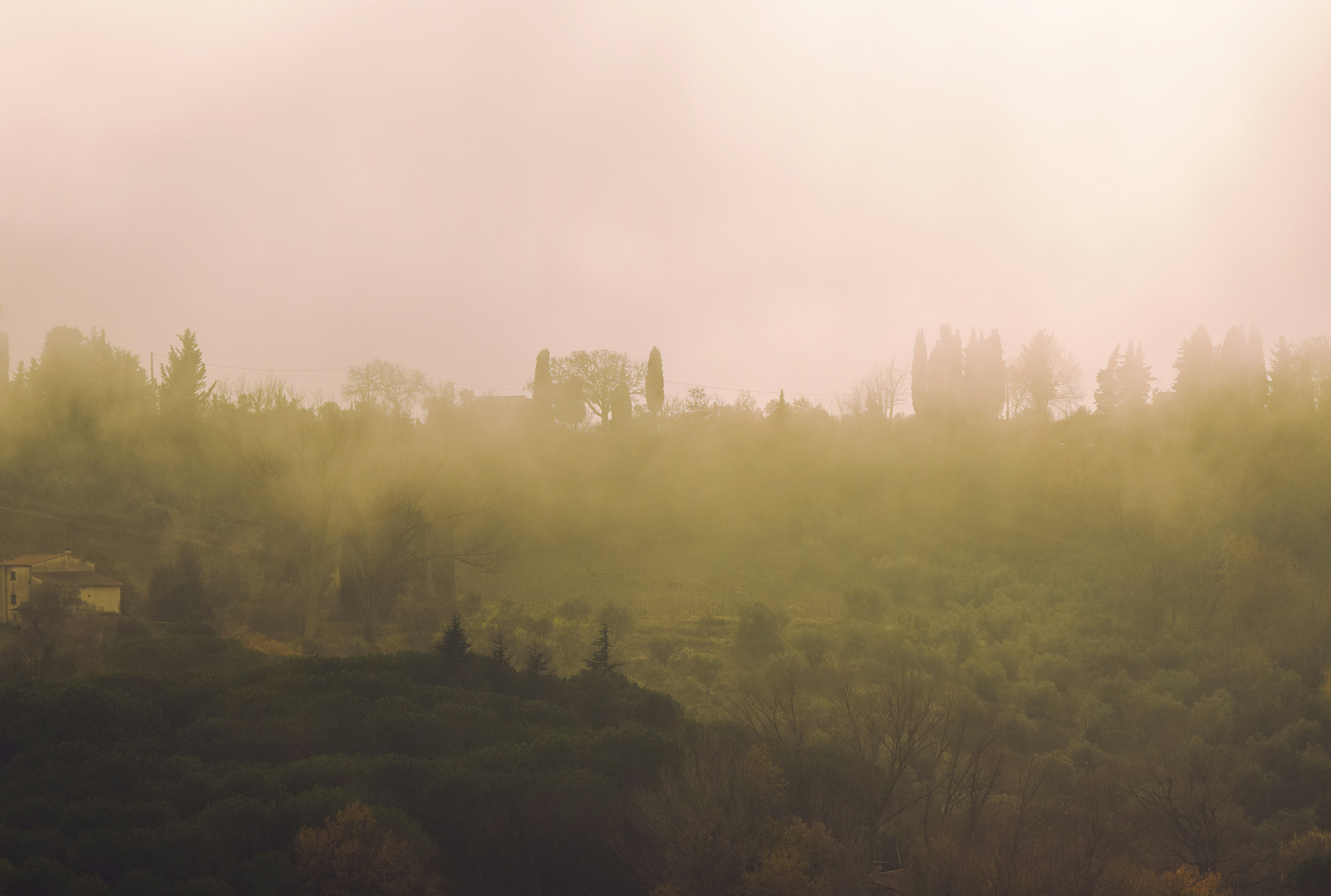 A foggy hillside with trees and houses in the distance photo – Free ...