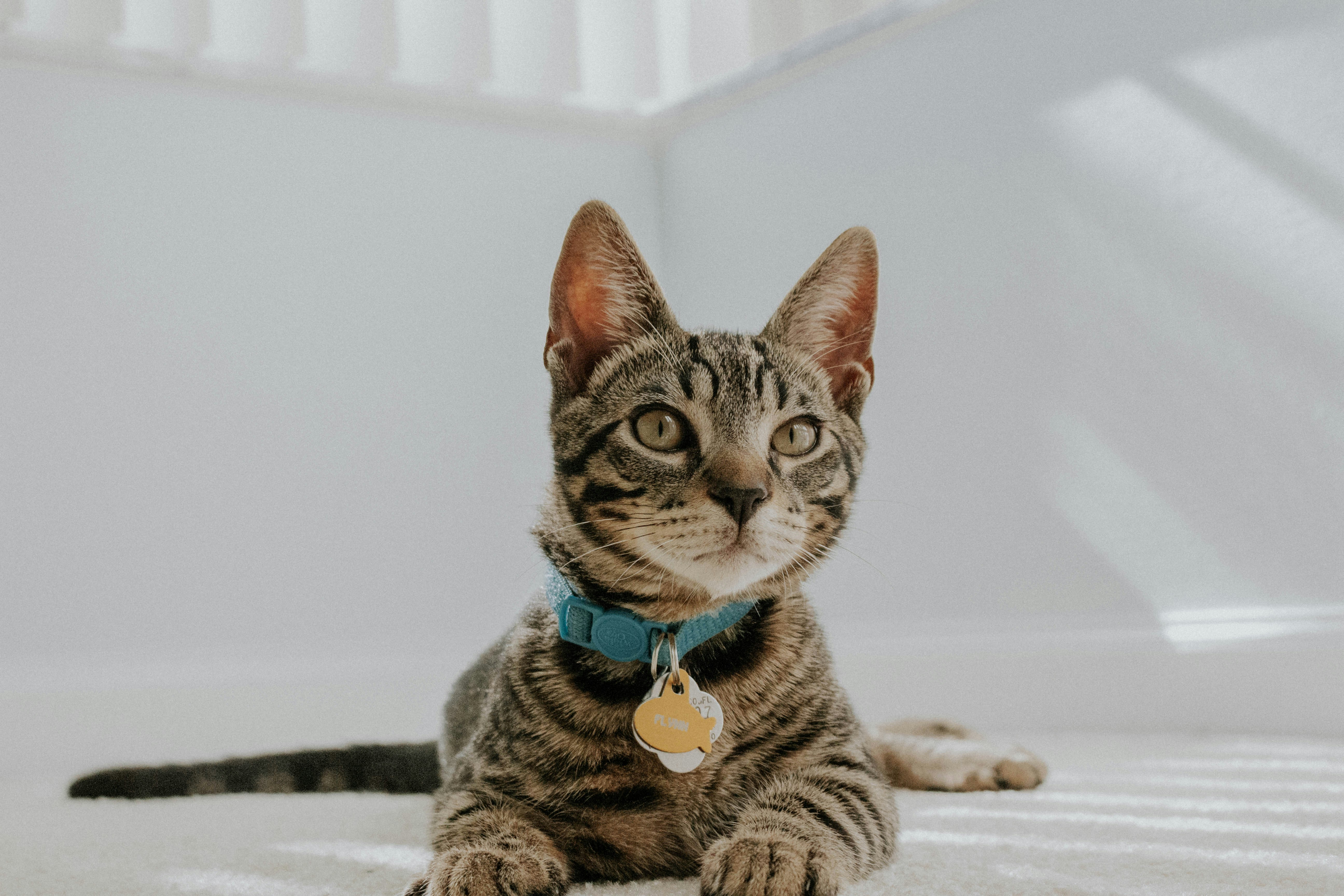 Photo by thewildflowerpress