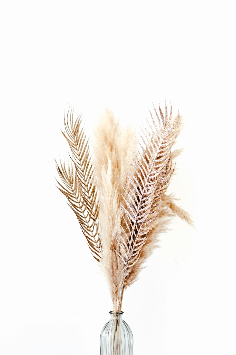 brown plant in vase