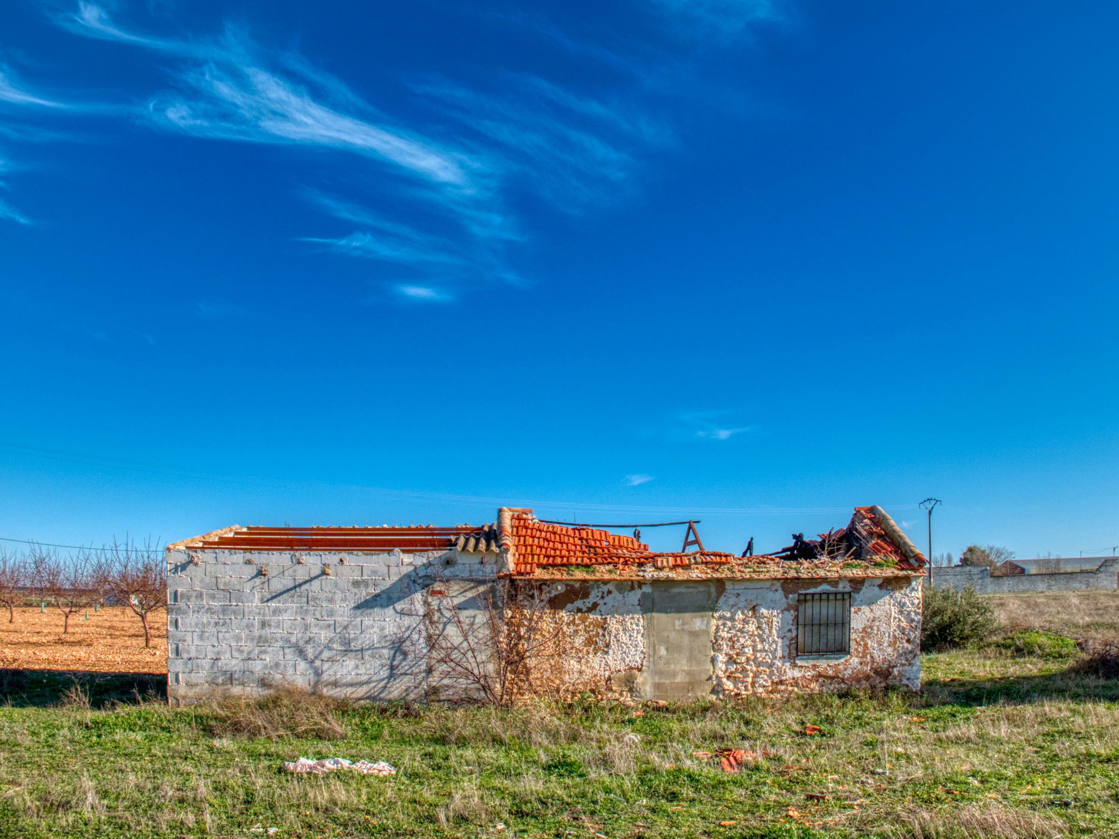 Photo by luismisanchez