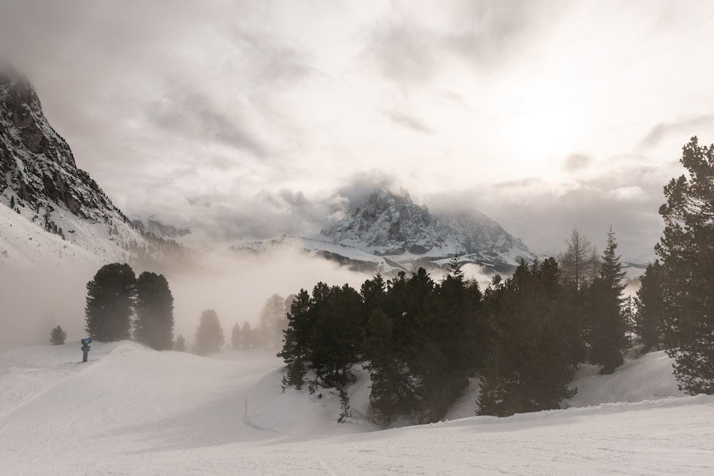 snow mountain and trees during daytime