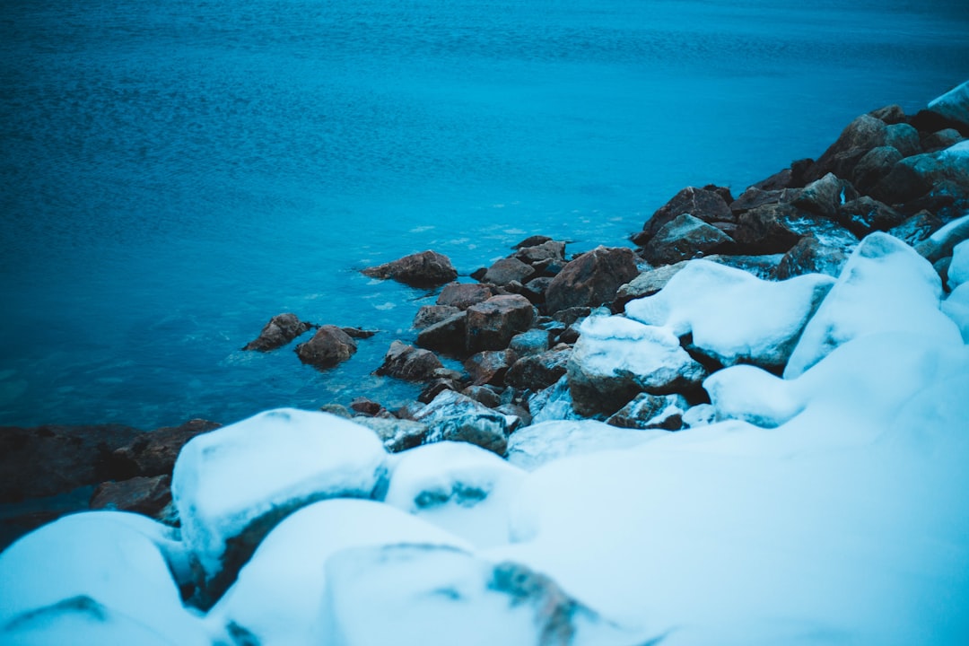 body of water during daytime