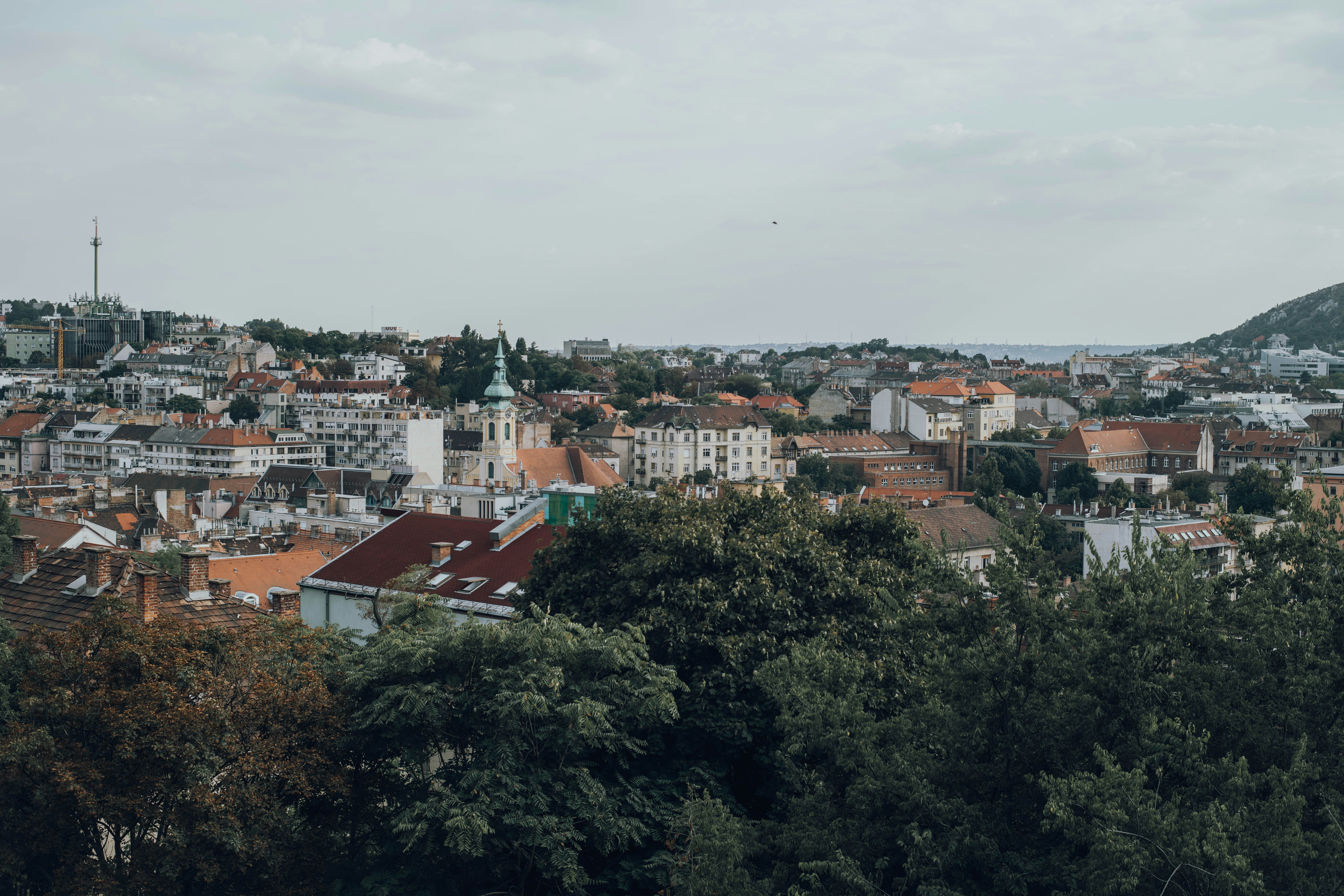 Photo by alinashchurova