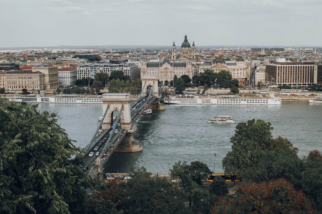 wide-angle photography of buildings and bridge during daytime