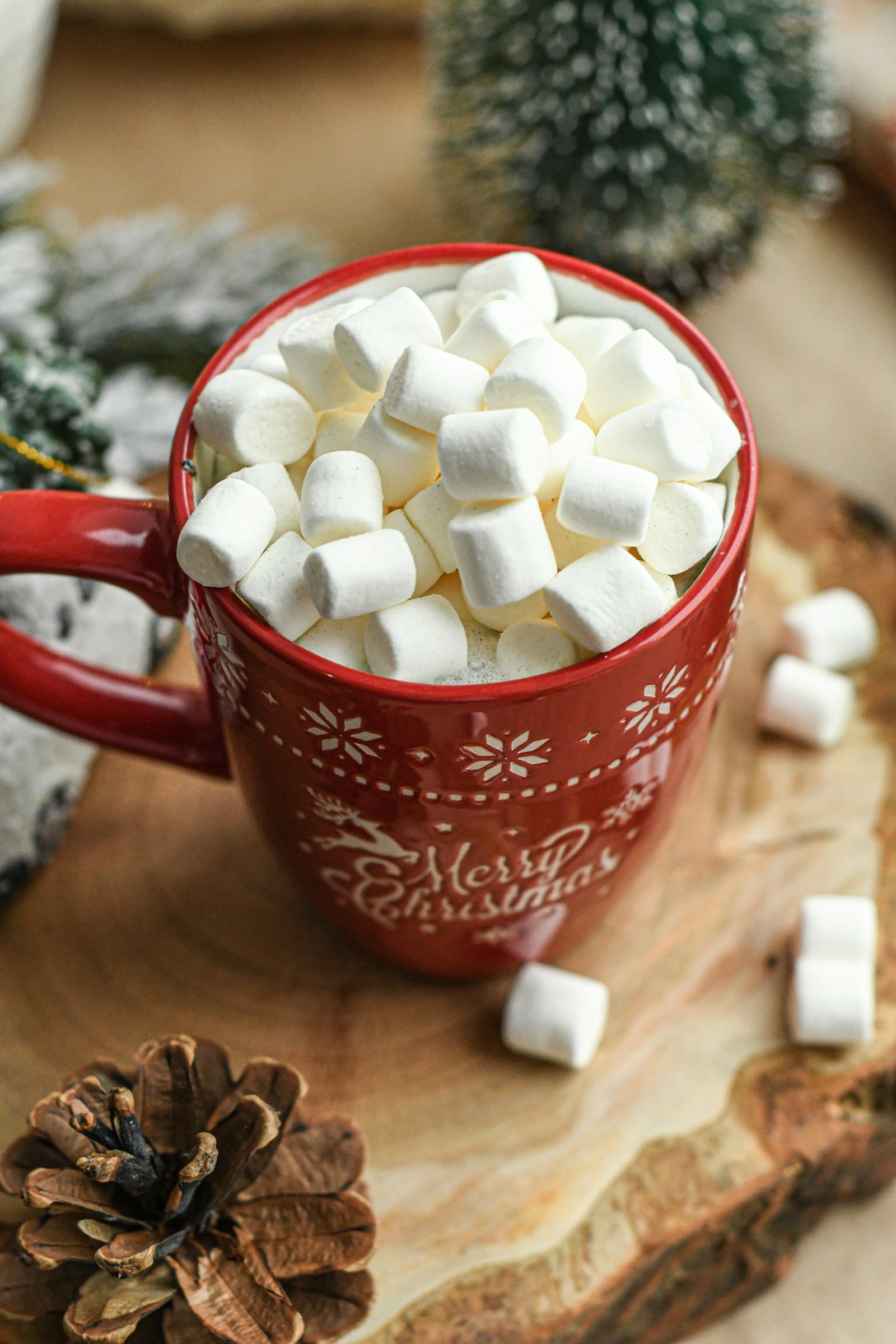 Nikon D7500 + Nikon AF Nikkor 50mm F1.8D sample photo. White marshmallow in cup photography