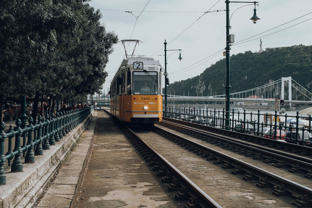 brown and white train