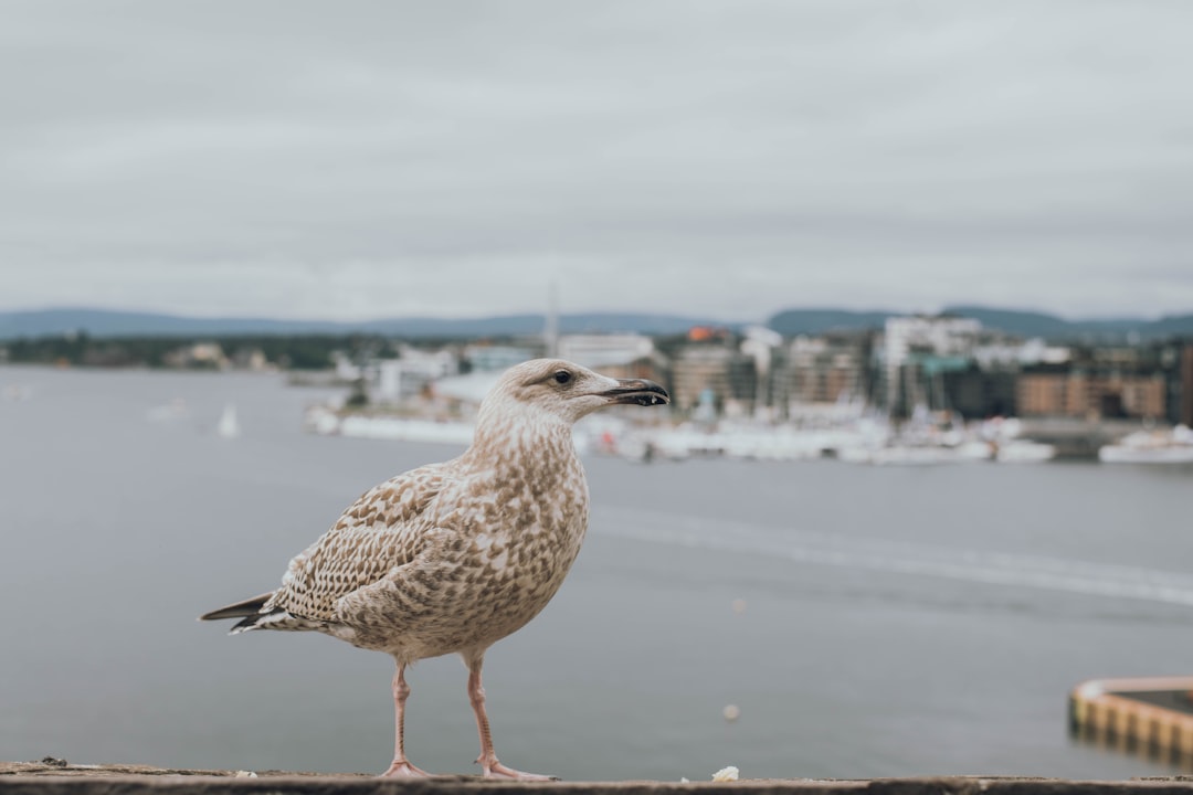 bird perched on brown surface