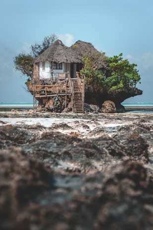 tree house