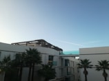 Modern architecture with white geometric buildings and a rooftop terrace. A row of palm trees lines the foreground, while a clear blue sky stretches above with a faint contrail crossing it.