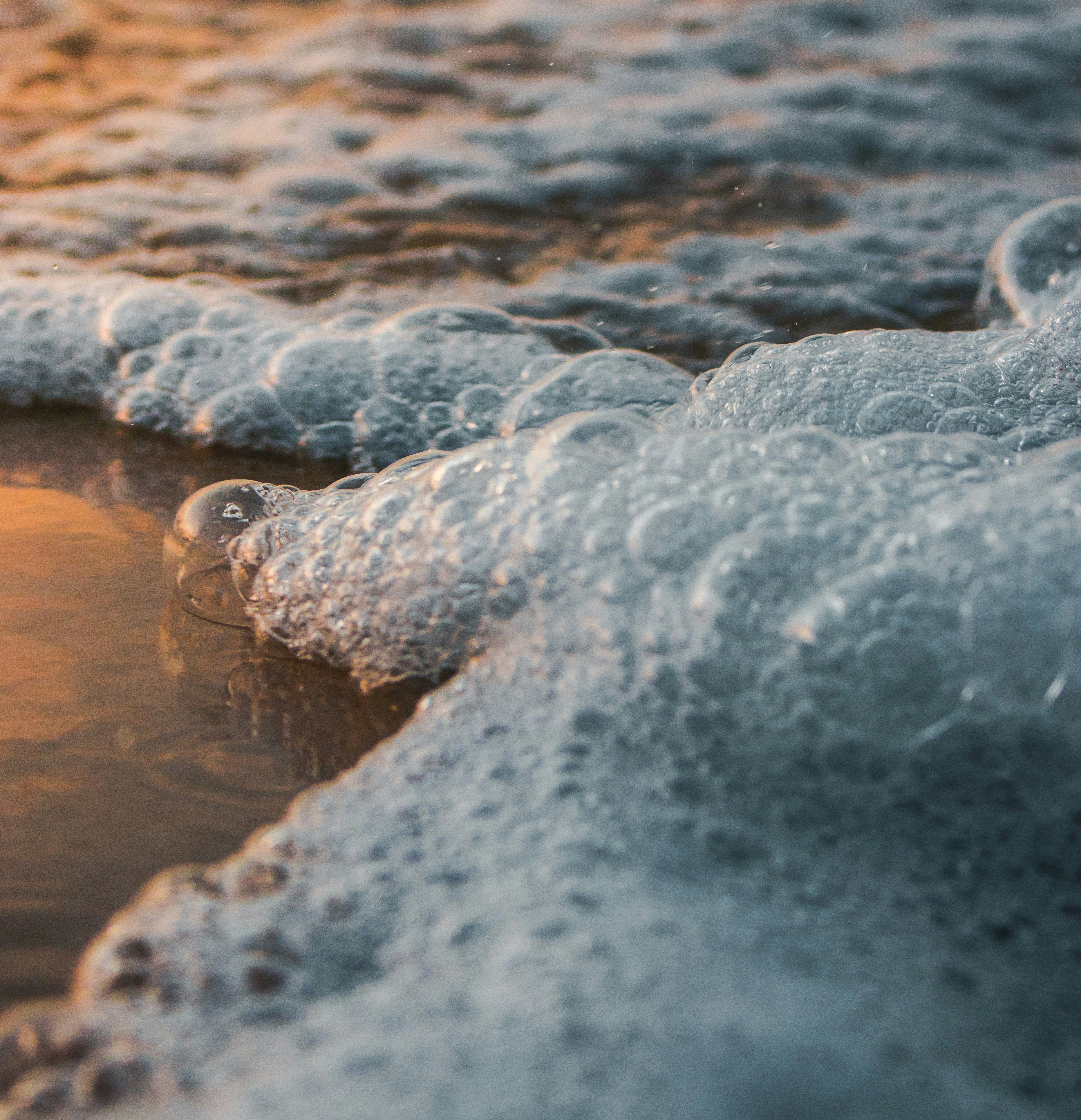 Photo by stellablomfield