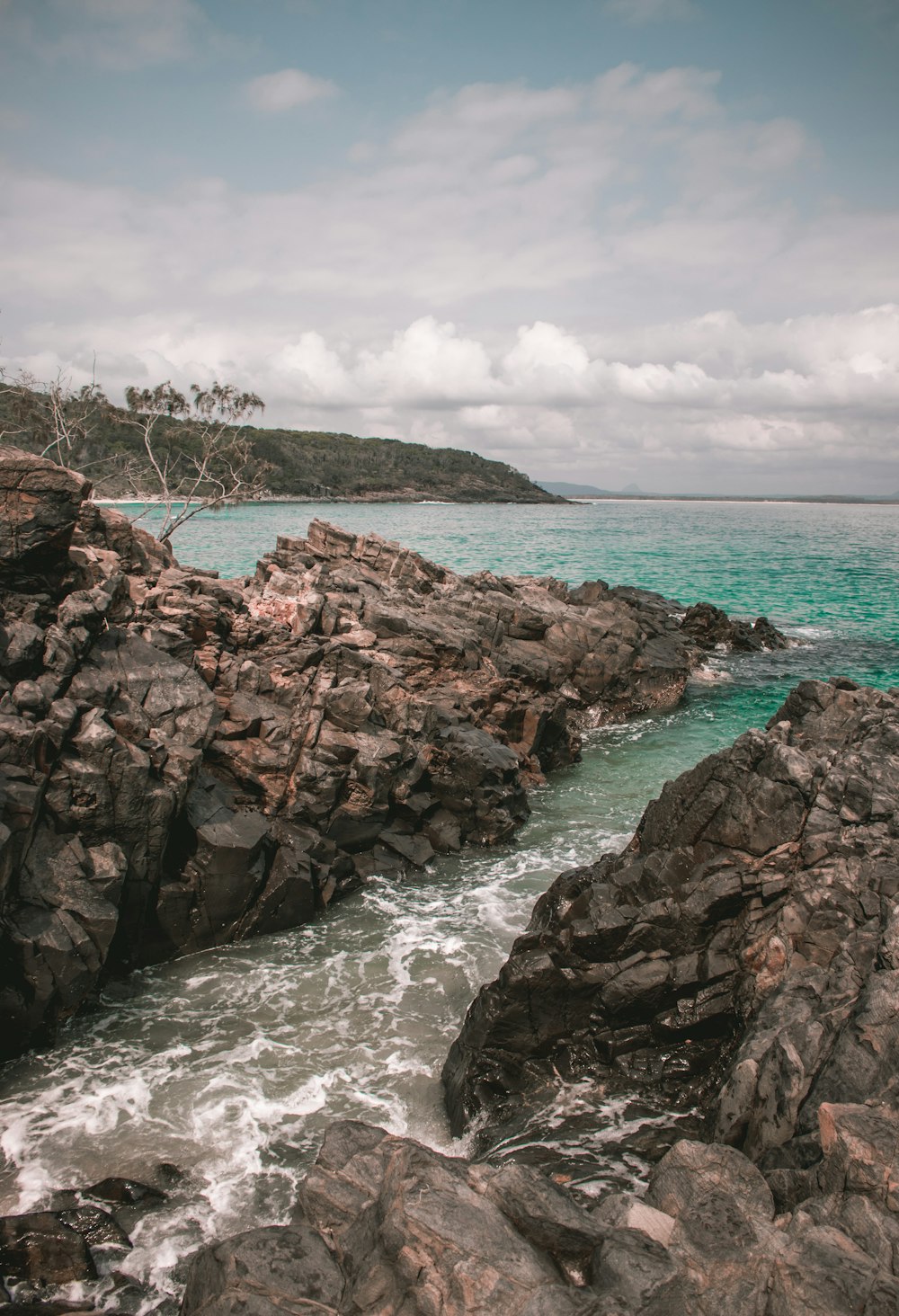 a rocky shore with a body of water