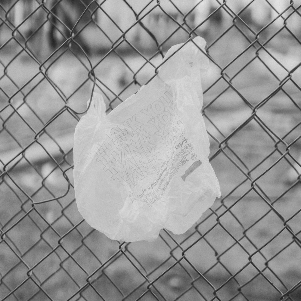 sac en plastique blanc sur clôture à mailles losangées
