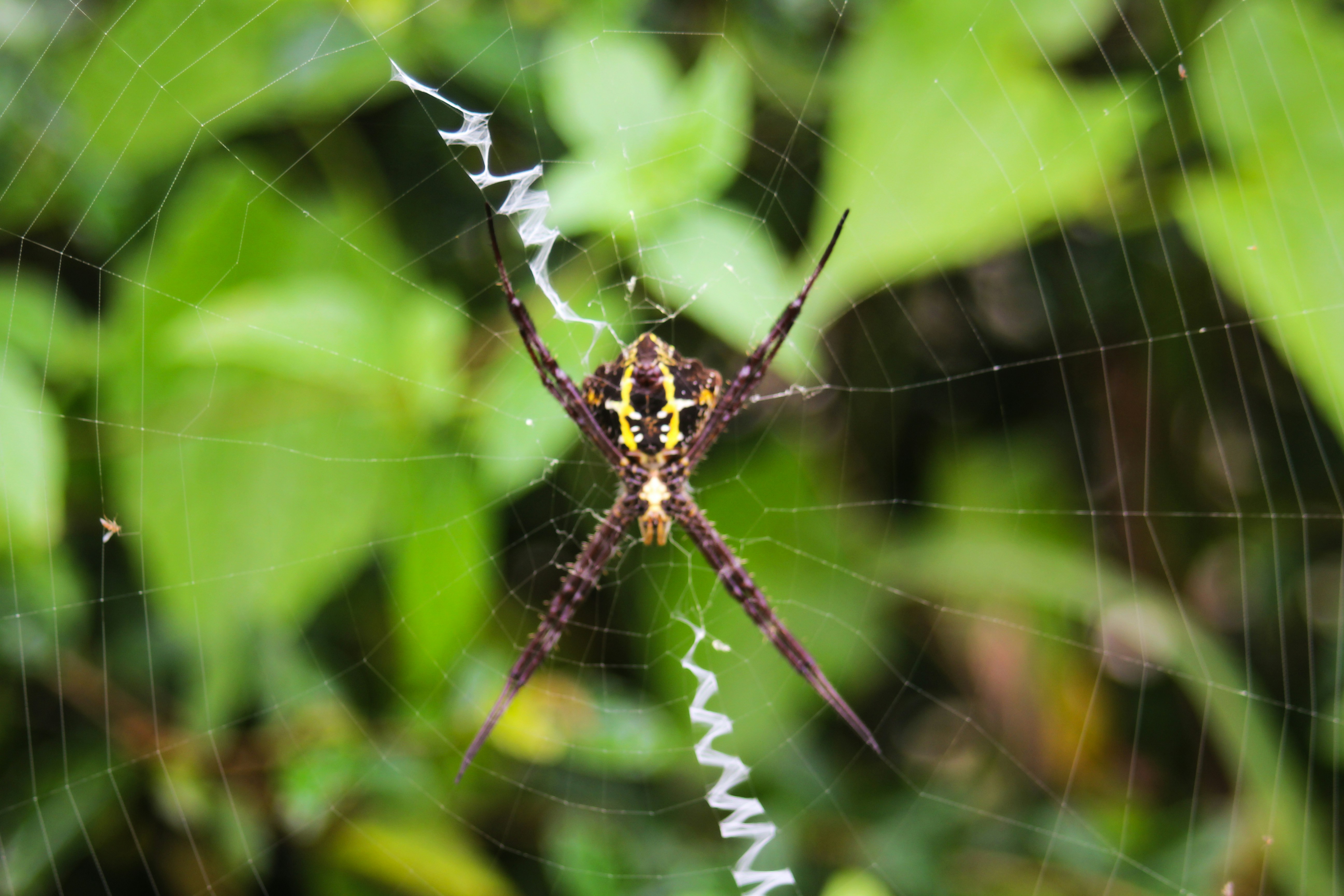 Photo by mametelfatih