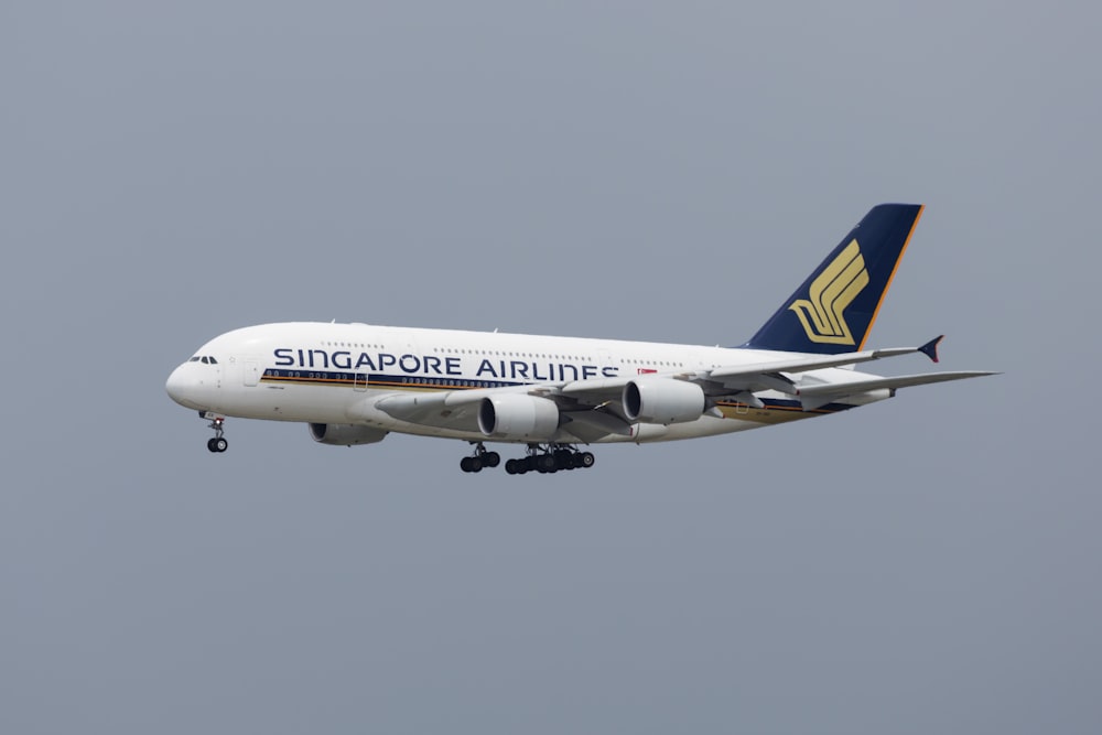 Avión de pasajeros de Singapur