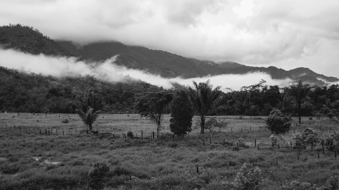 A serene landscape with rolling hills covered in lush greenery and shrouded by low-lying clouds. The foreground features an expanse of grassy fields with scattered trees and a distant line of hills forming a dramatic backdrop.