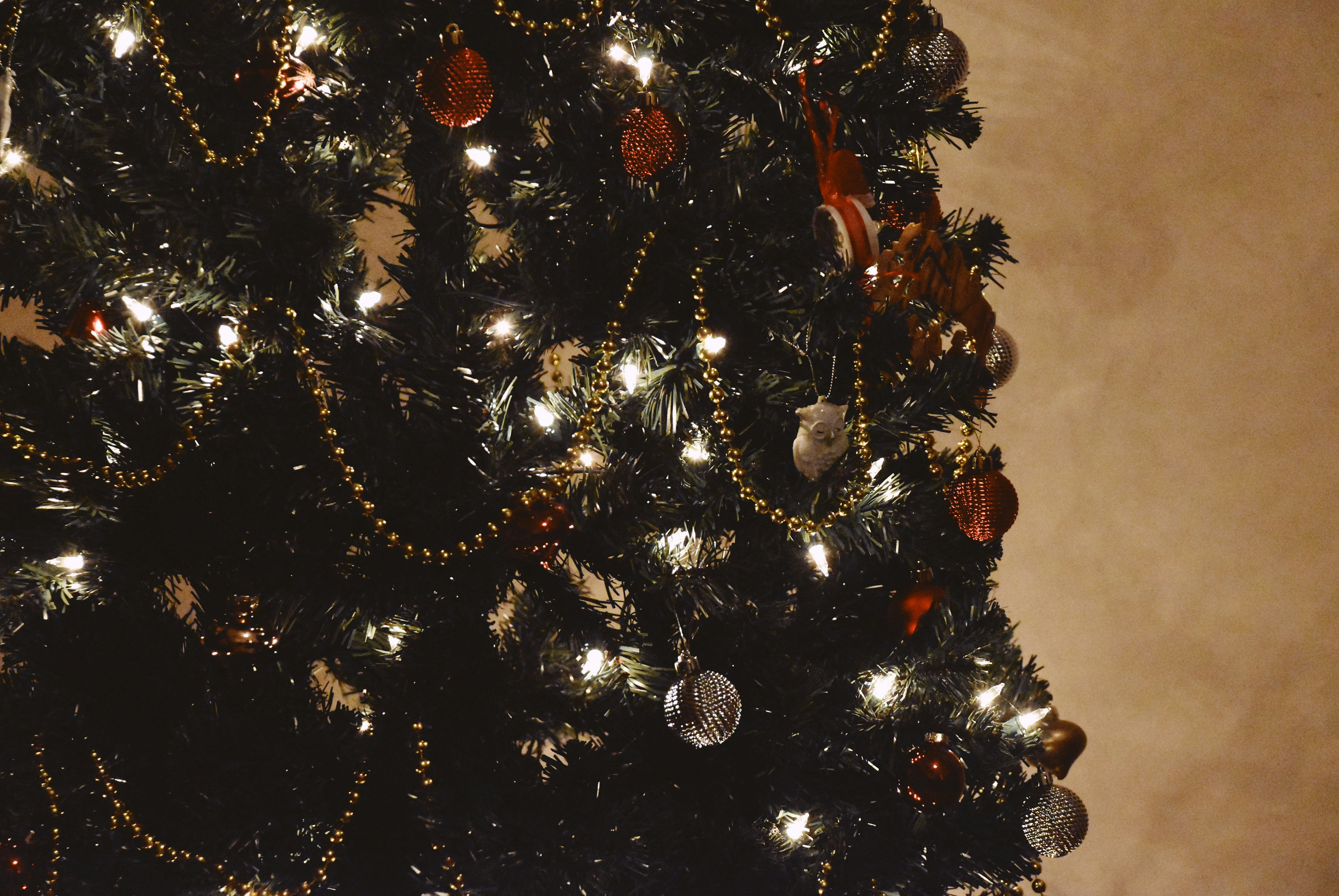 Photo by christopherphigh