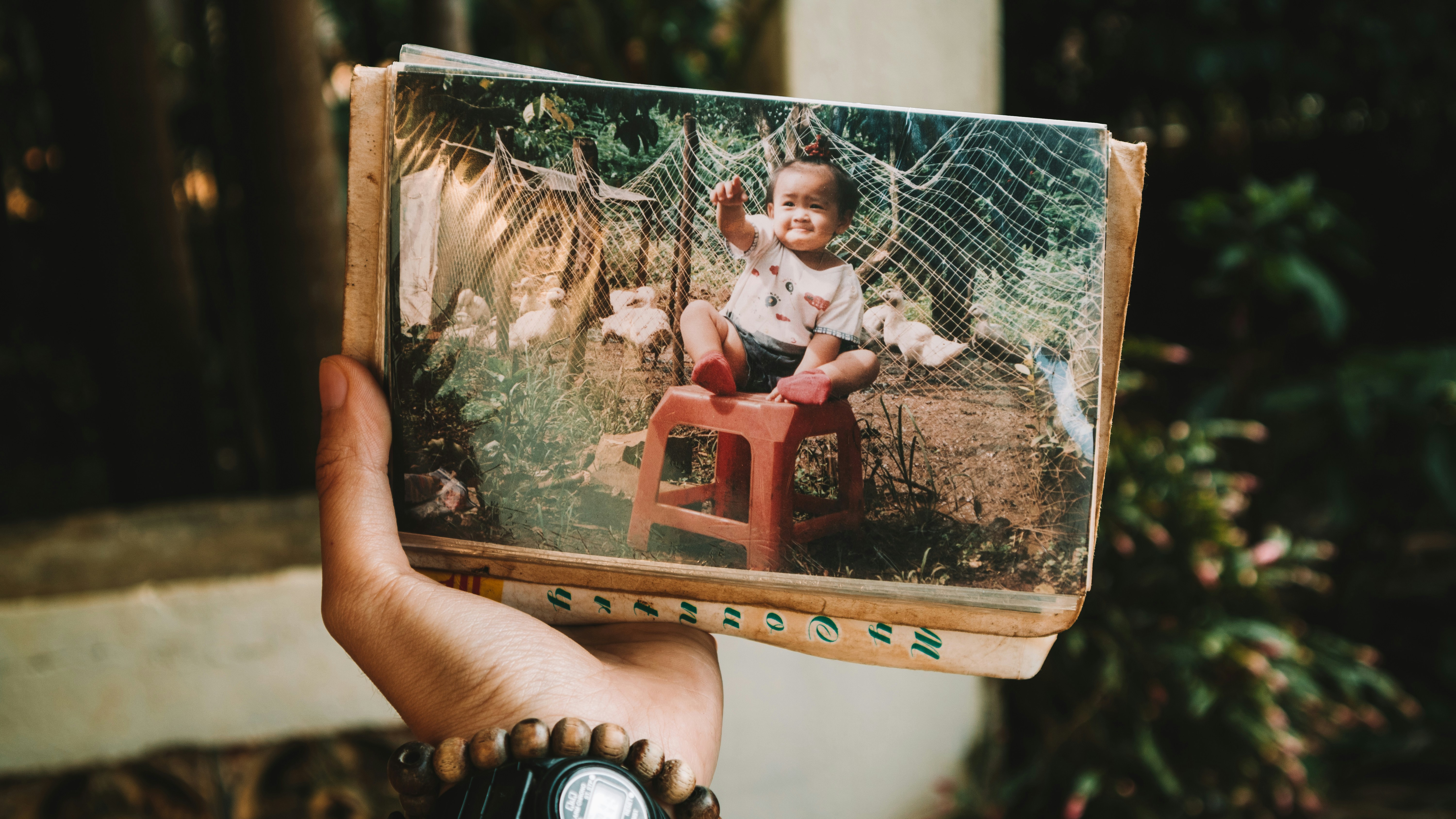Hands holding a vintage photograph to symbolize ancestral healing and the process of clearing generational trauma through EFT tapping.