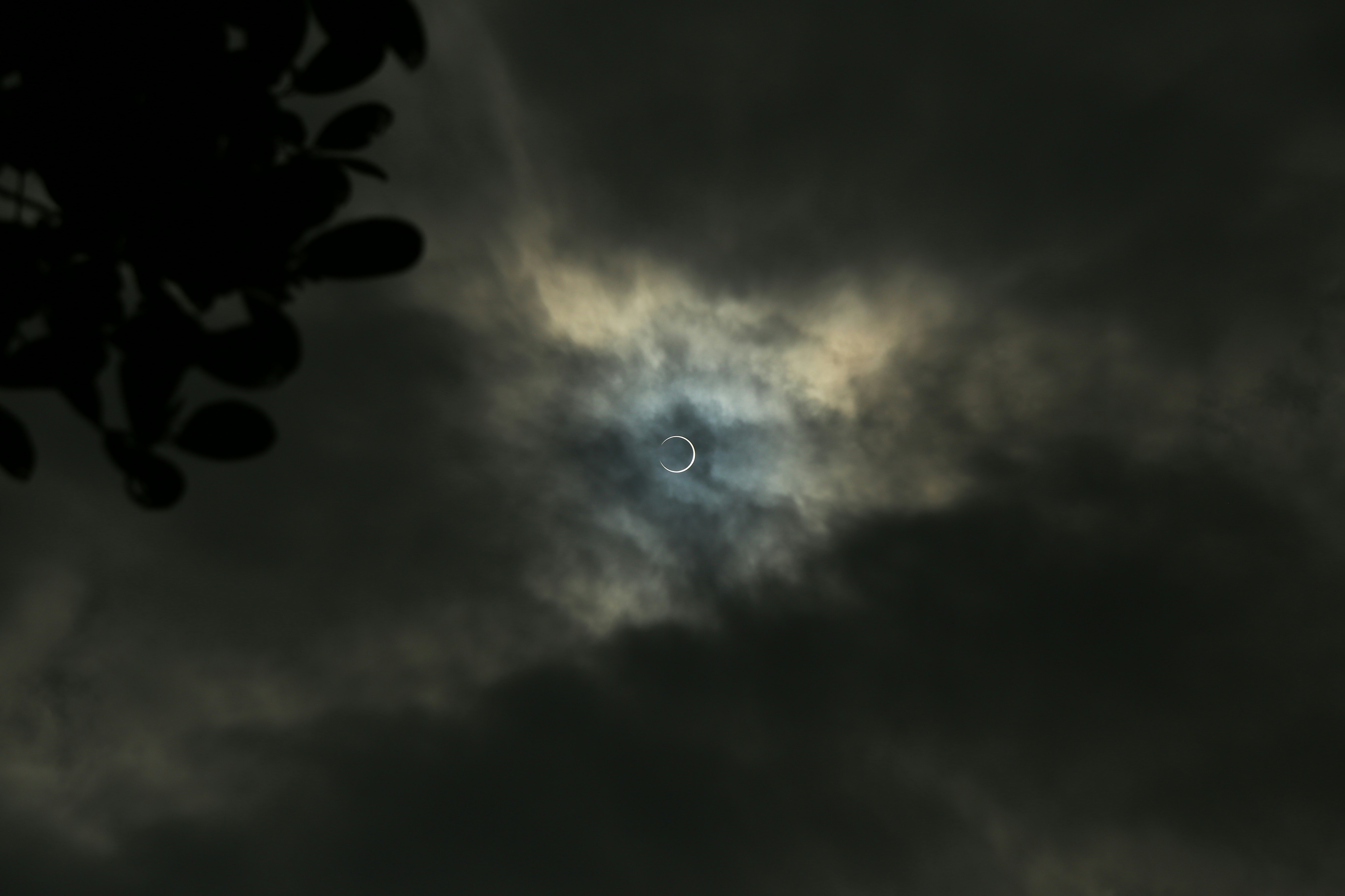 Photo by wilsanphotography