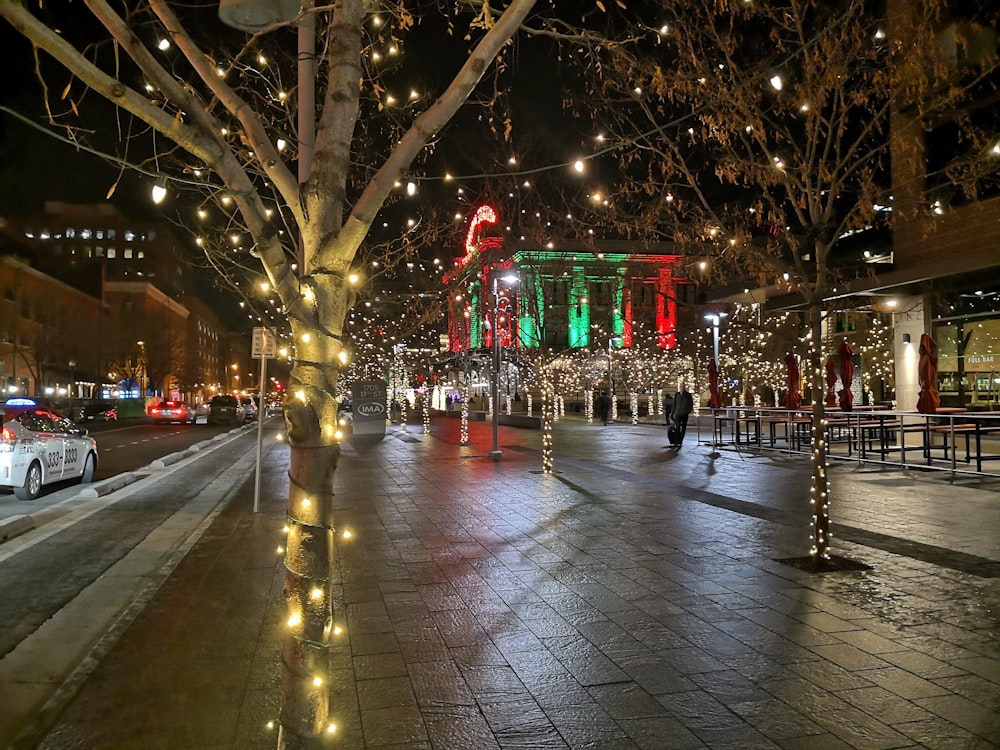 people walking on pathway near lighted tree