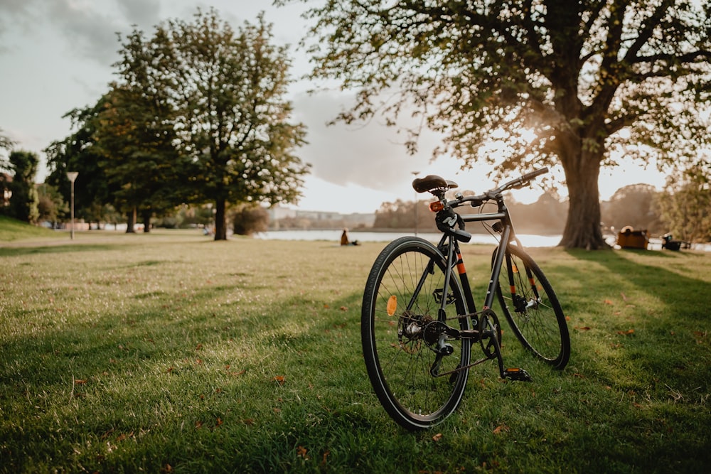 木々や水域の近くの緑の野原を走る黒い自転車