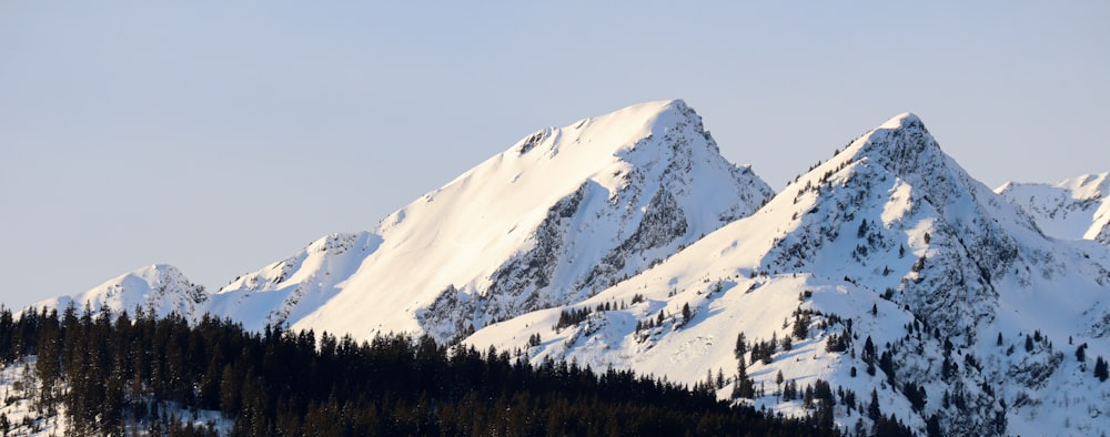 montanhas cobertas de neve com árvores durante o dia