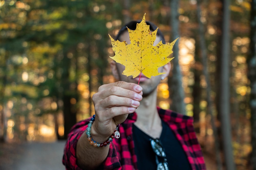 man wearing black crew-neck shirt holding yellow maple leaf