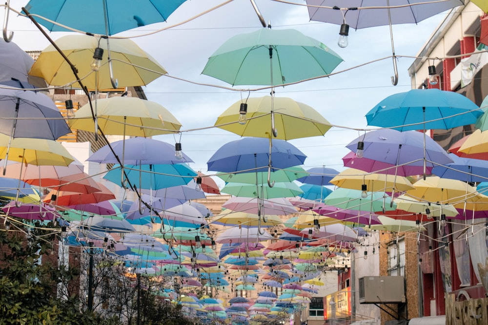 assorted-colored umbrella hanging near buildings