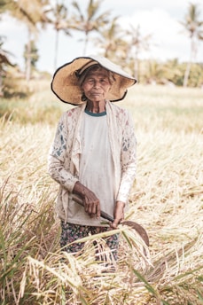 An elderly person stands in a rice field holding a sickle, wearing a wide-brimmed straw hat, a worn-out lace jacket over a plain shirt, and floral patterned pants. The field is filled with tall, golden rice plants swaying gently. Palm trees are visible in the blurred background against a blue sky.
