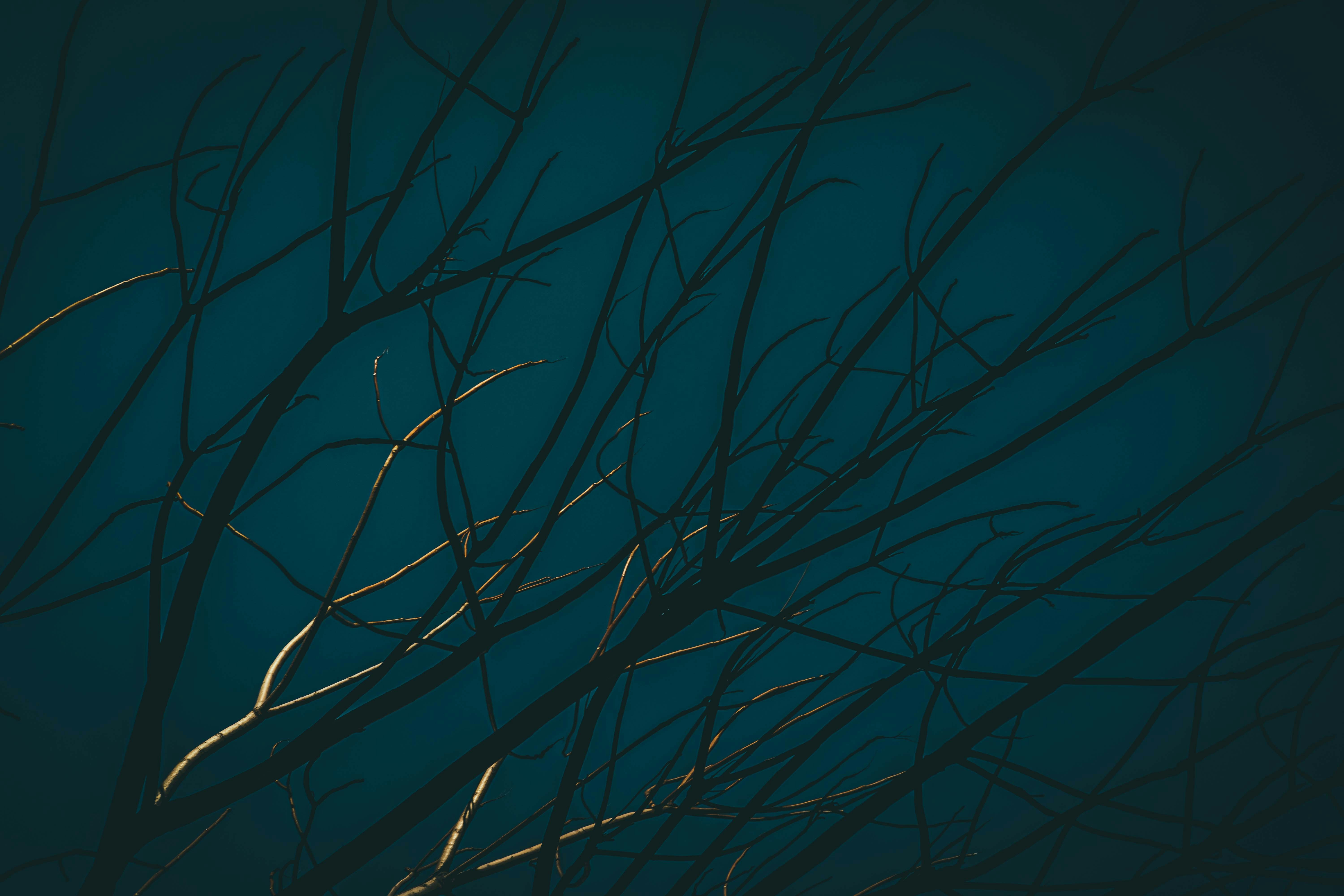 Photo by francesco_ungaro