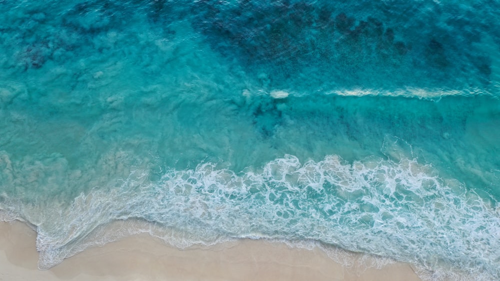 aerial photography of green body of water