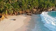 An idyllic tropical beach featuring golden sand and clear blue ocean waves gently washing ashore. The coastline is lined with lush green palm trees and large scattered rocks, creating a serene and natural landscape.