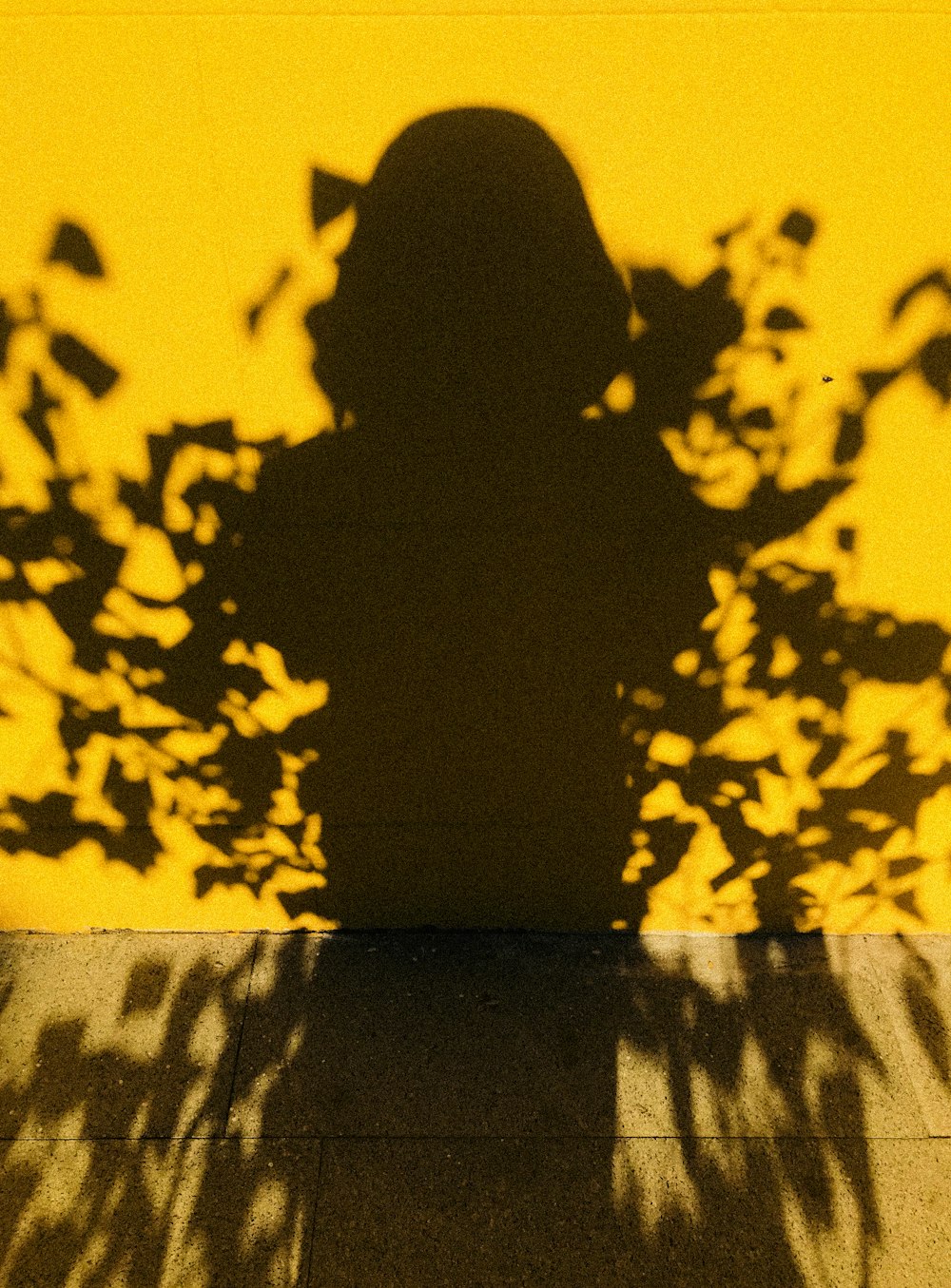 silhouette of sitting person