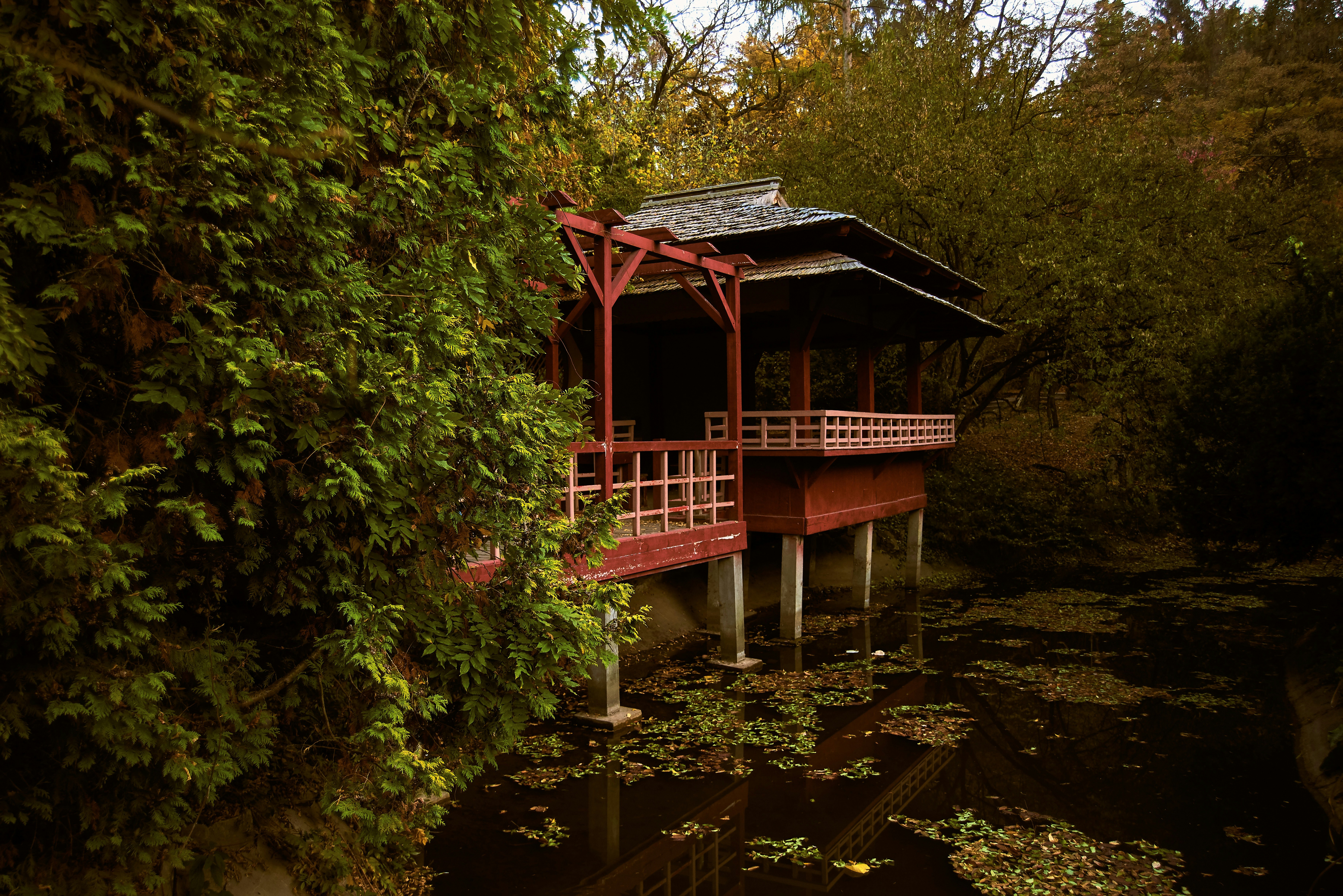 Photo by gabrielatorzsa