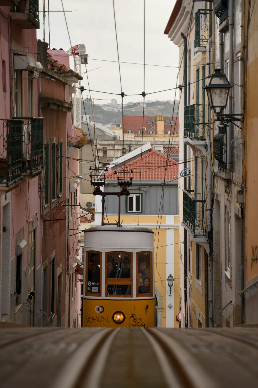 brown and white tram during daytime